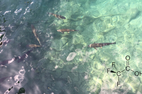 Beitragsbild mit Wasser, Fischen, TFA Strukturformel