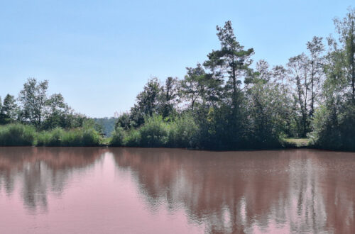 Roter See im Grünen