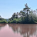 Roter See im Grünen